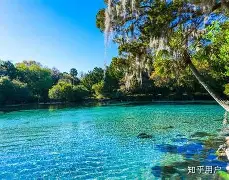 开云·体育官方网站-奥兰多魔术训练开放日，赛前绝杀压哨引欢呼，NBA季后赛在即，资深球员宣示担当的简单介绍