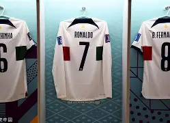 开云·体育官方网站-孟菲斯灰熊新主教练